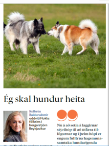 Read more about the article Ég skal hundur heita